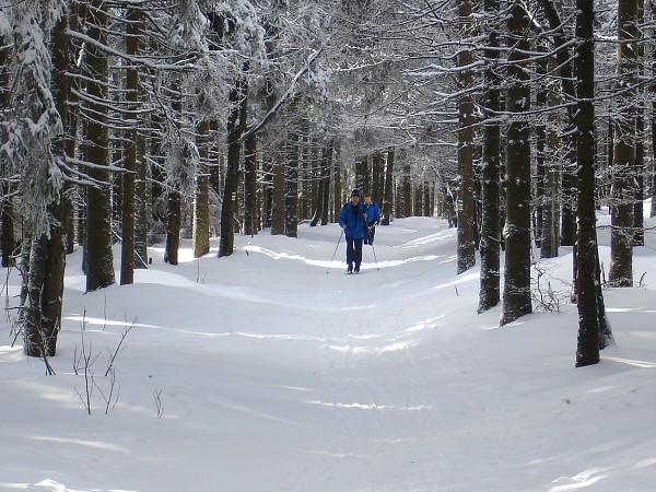     Lyžařský přejezd Jeseníků 2007