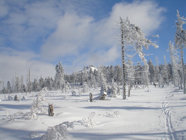     Lyžařský přejezd Jeseníků 2007