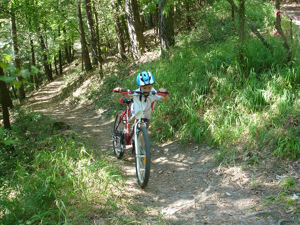 Kujebike 2008