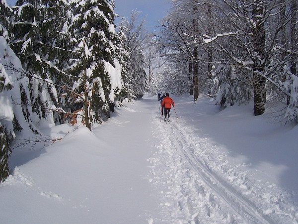 Lyžařský přejezd Orlických hor 2006