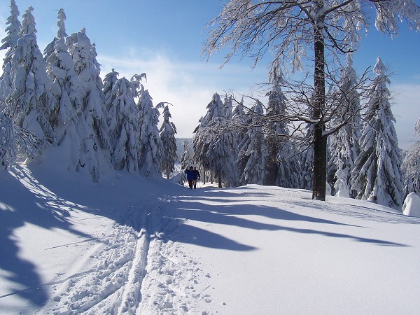 Lyžařský přejezd Orlických hor 2006