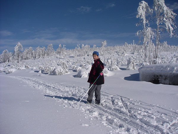 Lyžařský přejezd Orlických hor 2006