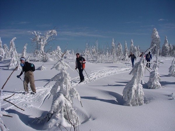 Lyžařský přejezd Orlických hor 2006