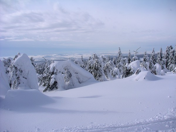 Lyžařský přejezd Orlických hor 2006