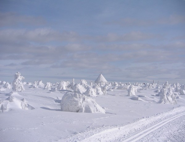 Lyžařský přejezd Orlických hor 2006