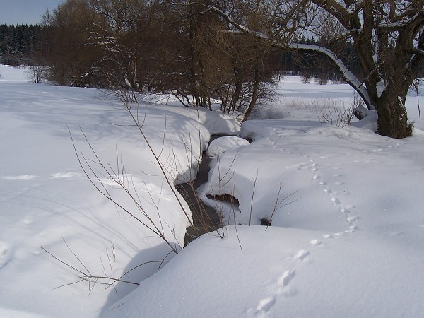 Lyžařský přejezd Žďárských vrchů 2006